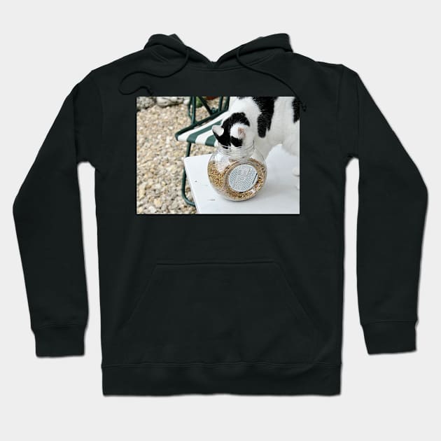 Cat Burglar Too Hoodie by Ladymoose